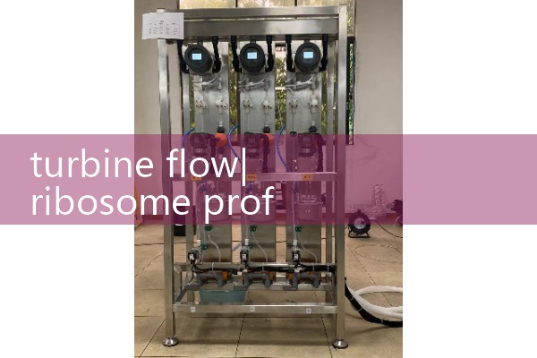 turbine flow|gas flow meter